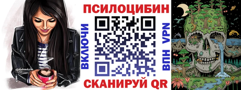 где можно купить наркотик  Верея  MEGA ONION  Псилоцибиновые грибы мицелий 